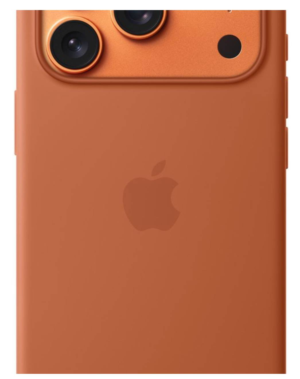 Apple MGFJ4ZM/A Siliconenhoesje met MagSafe voor iPhone 17 Pro - Terracotta