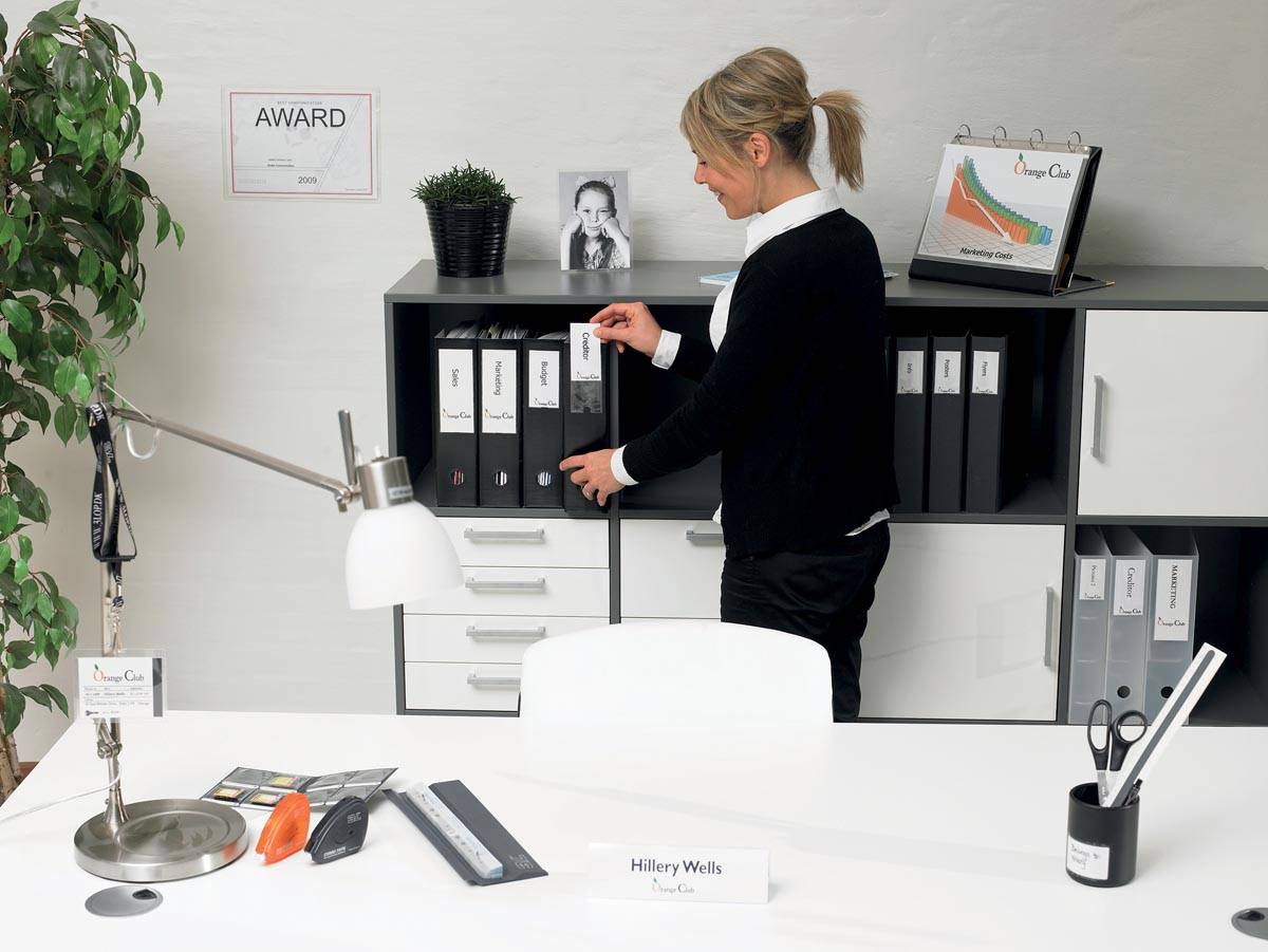 3L Etikethouder, ft 55 x 102 mm, etui van 6 stuks