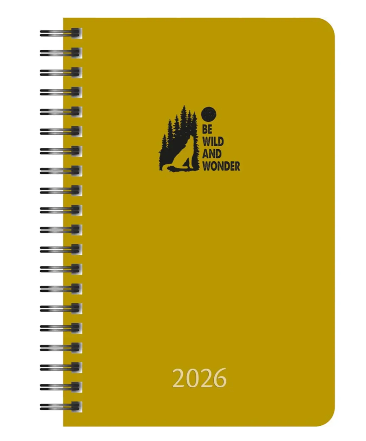 Aurora Daily 32W PP 500 micron color, geassorteerde kleuren, 2026