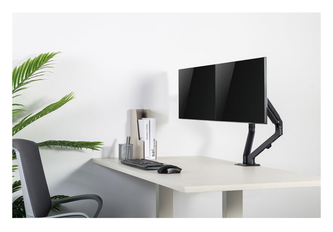 Neomounts FPMA-D650DBLACK Monitorarm 17-27" - mechanische veer