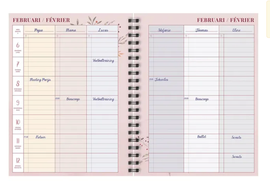 Brepols gezinsplanner, 12 maanden, Franstalig, 2026