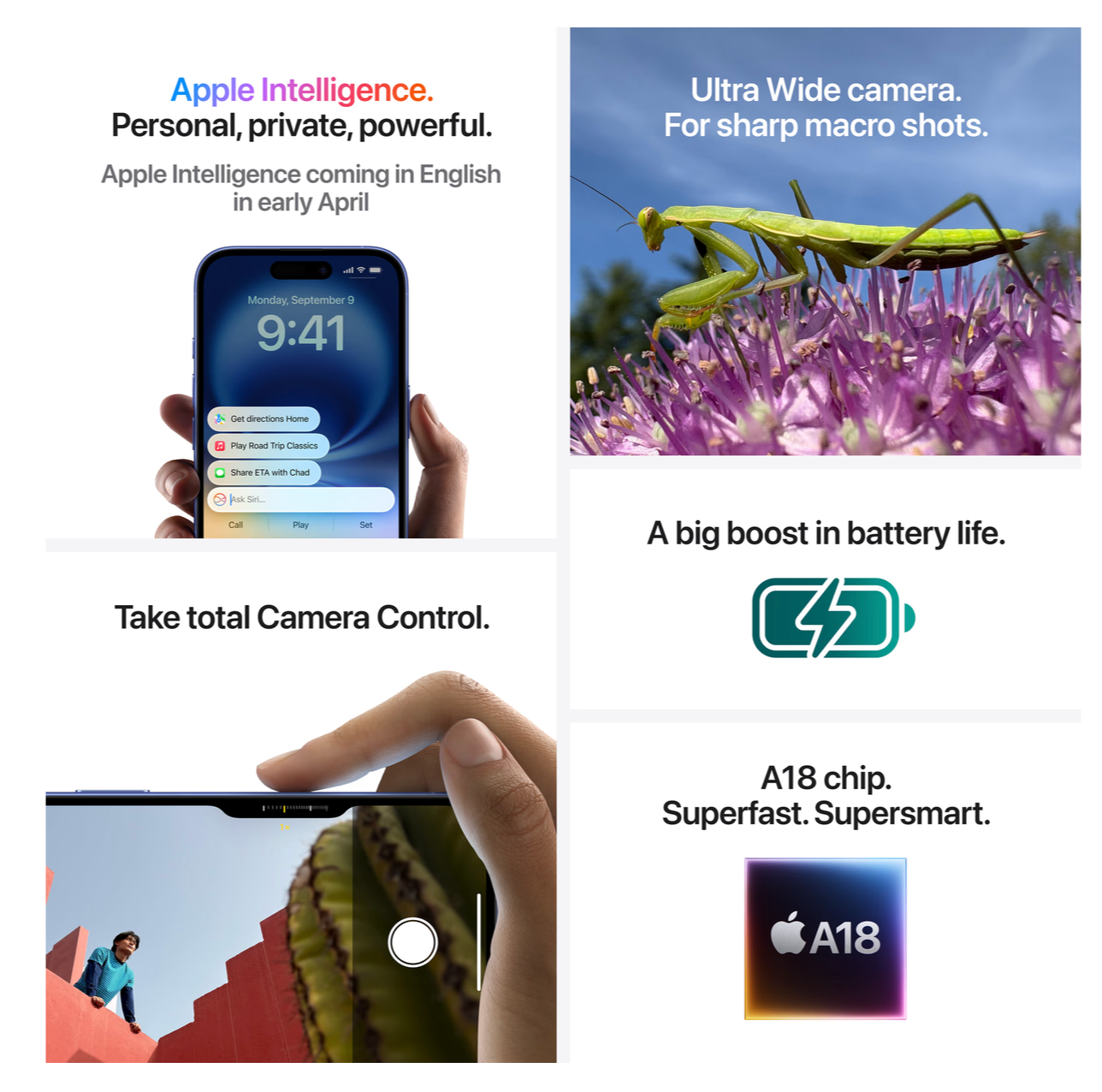 Apple iPhone 16 Plus 256GB Blauwgroen