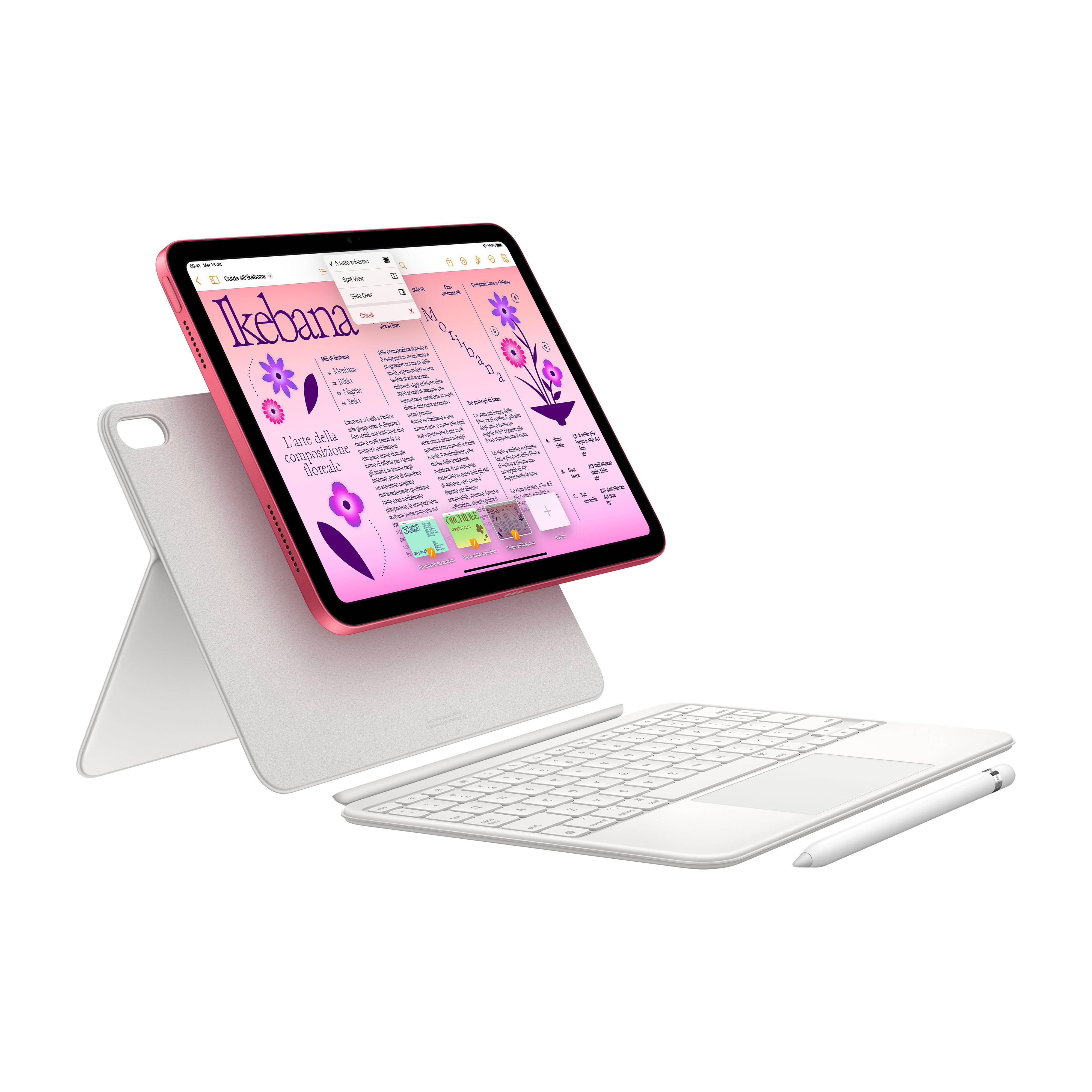 Apple iPad (2024) Wi-Fi 64GB Blauw