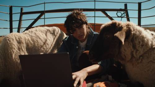 ASUS ProArt P16 H7606WX-SE002X Copilot+ PC AMD Ryzen AI 9 HX 370 Laptop 40,6 cm (16") Touchscreen WQUXGA 64 GB LPDDR5x-SDRAM 4 TB SSD NVIDIA GeForce RTX 5090 Wi-Fi 7 (802.11be) Windows 11 Pro Nederlands Zwart