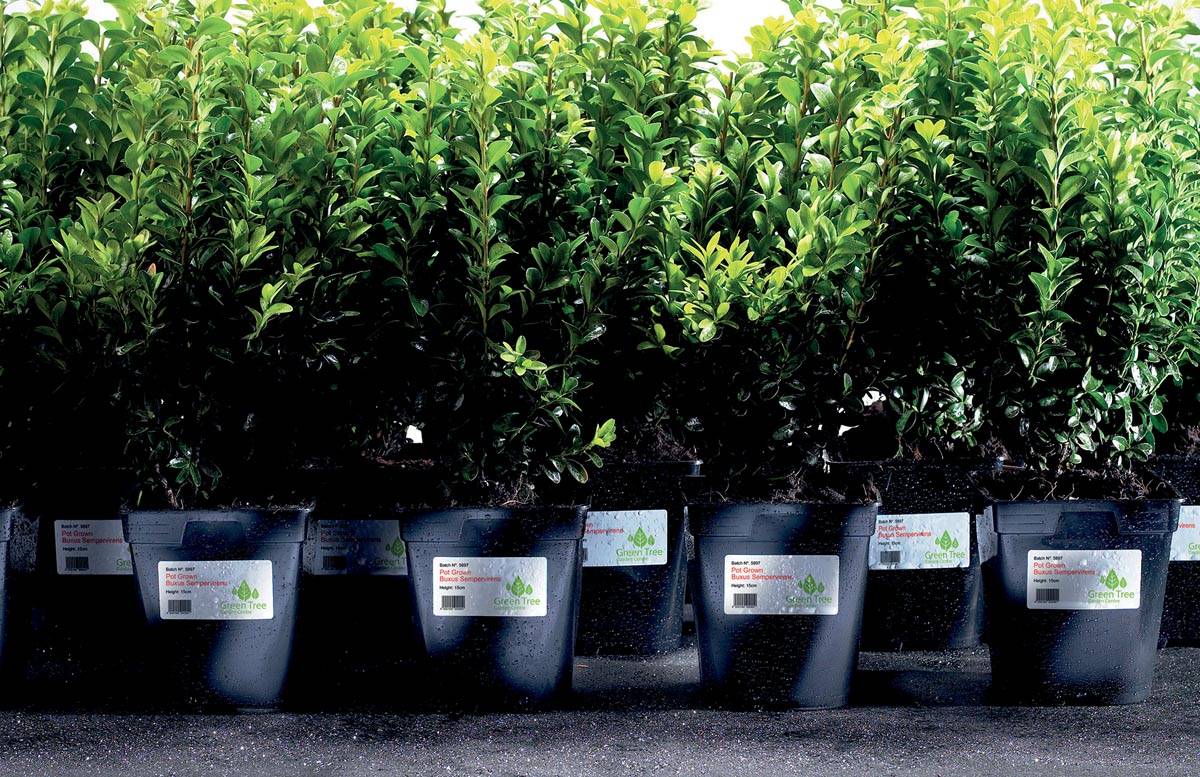 Avery L4774-20 ultra-sterke etiketten ft 99,1 x 139 mm (b x h), 80 etiketten, wit