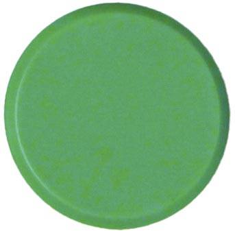 Bouhon magneten, 20 mm, groen, pak van 10 stuks