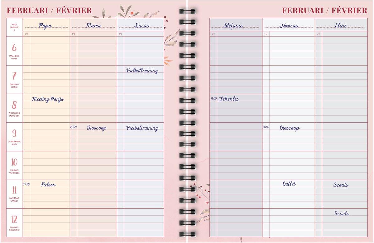 Brepols gezinsplanner, 12 maanden, Nederlandstalig, 2026