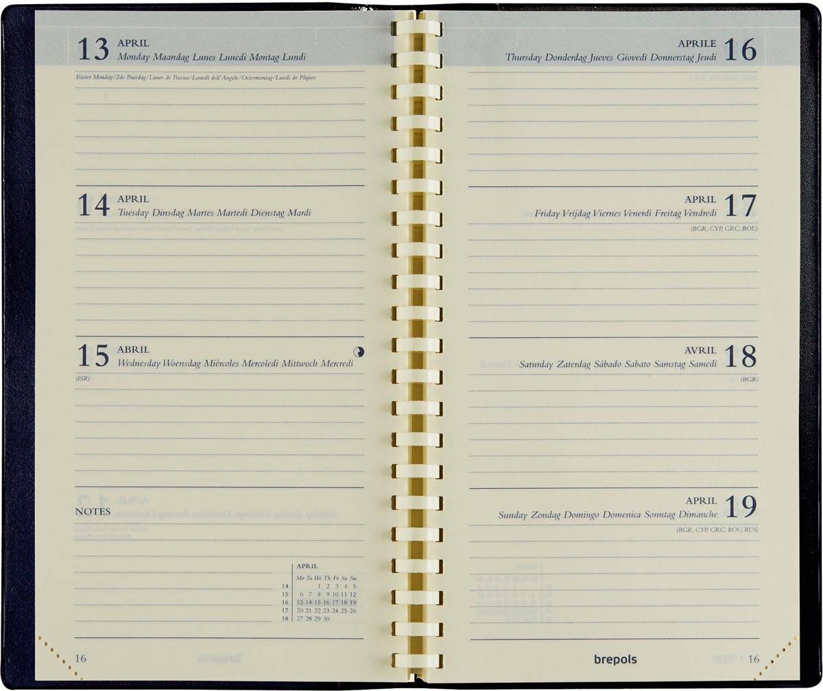 Brepols Interplan Palermo, bruin, 2026