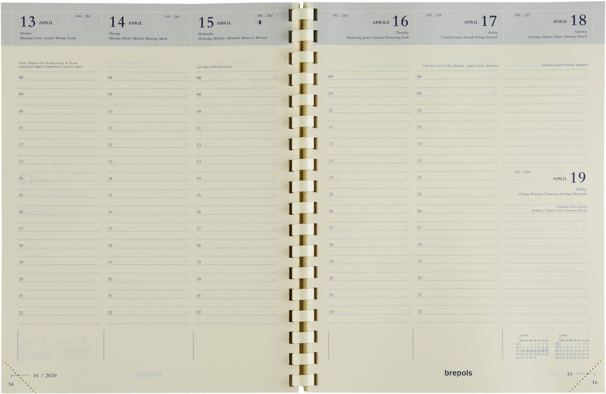 Brepols Timing Palermo, bruin, 2026