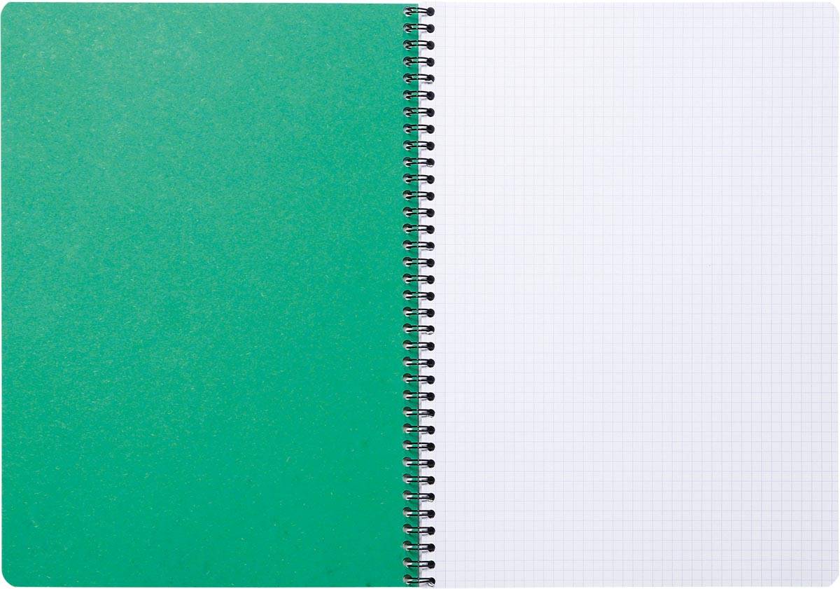 Clairefontaine FOREVER spiraalschrift, gerecycleerd, A4, 90g, 120 bladzijden, geruit 5 mm, groen