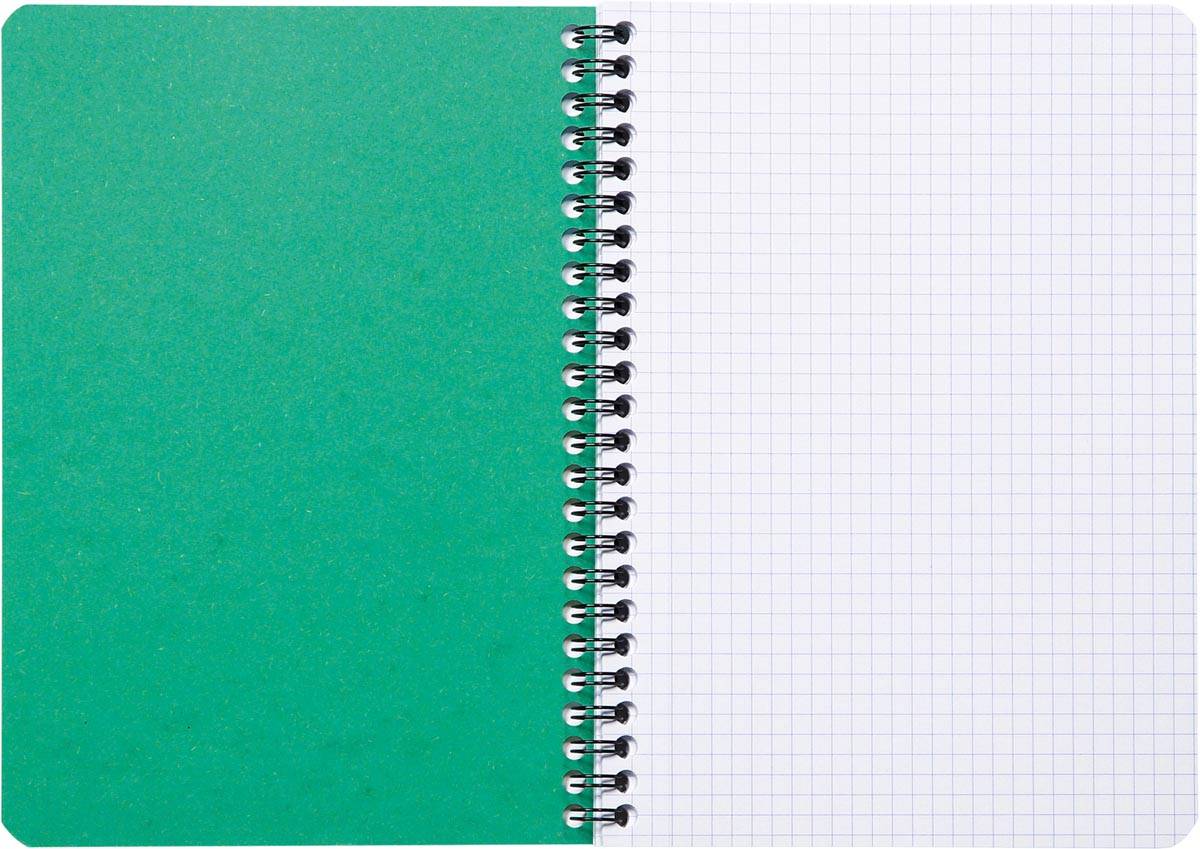 Clairefontaine FOREVER spiraalschrift, gerecycleerd, A5, 90g, 120 bladzijden, geruit 5 mm, groen