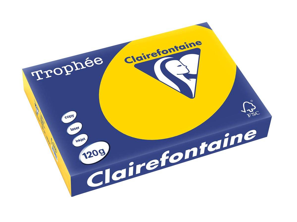 Clairefontaine Trophée Pastel, gekleurd papier, A4, 120 g, 250 vel, goudgeel