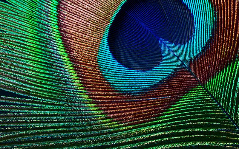 Epson EH-TW7000 4K PRO-UHD-projector, 3000 lumen, scherm van maximaal 500 inch