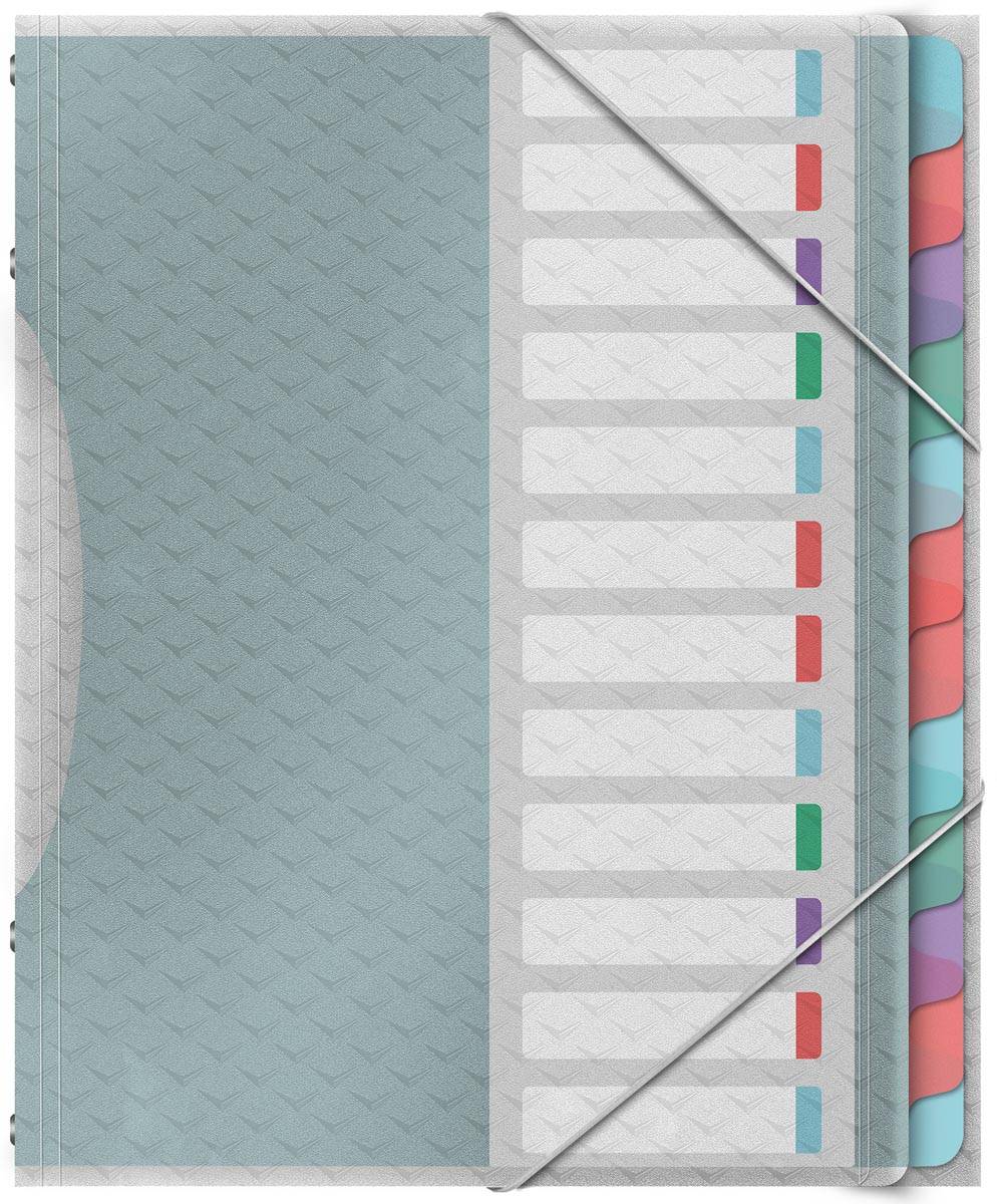 Esselte Colour'Breeze sorteermap, PP, ft A4, 12 tabs, assorti