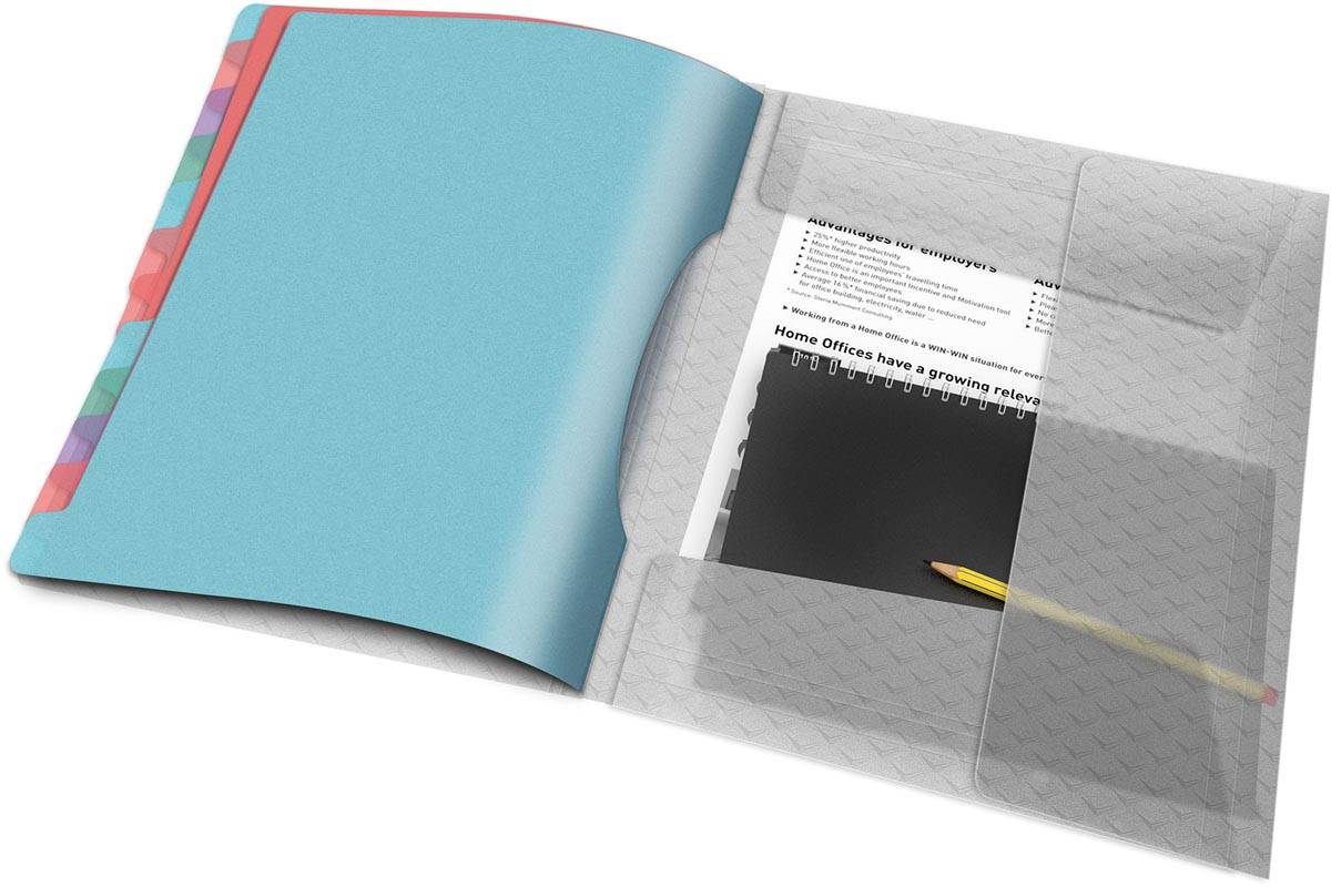 Esselte Colour'Breeze sorteermap, PP, ft A4, 12 tabs, assorti