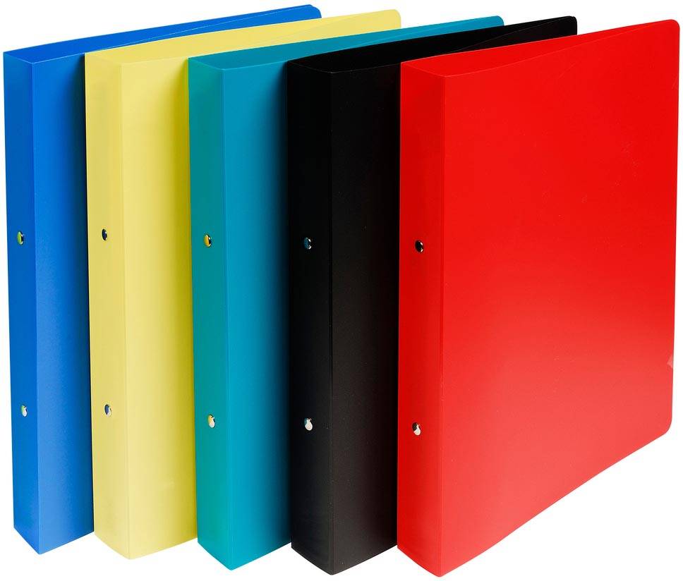 Exacompta ringmap ondoorschijnend, ft A4 maxi, PP, 2 ringen van 3 cm, 5 geassorteerde kleuren