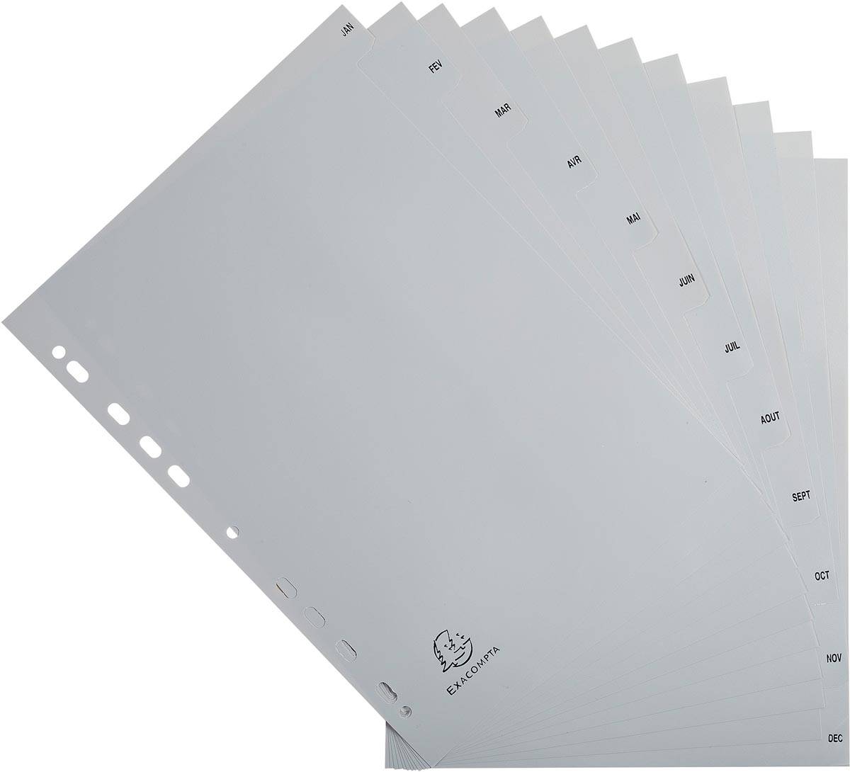 Exacompta tabbladen maandelijks A4, uit PP, 12 tabs, jan-dec, grijs, Frans