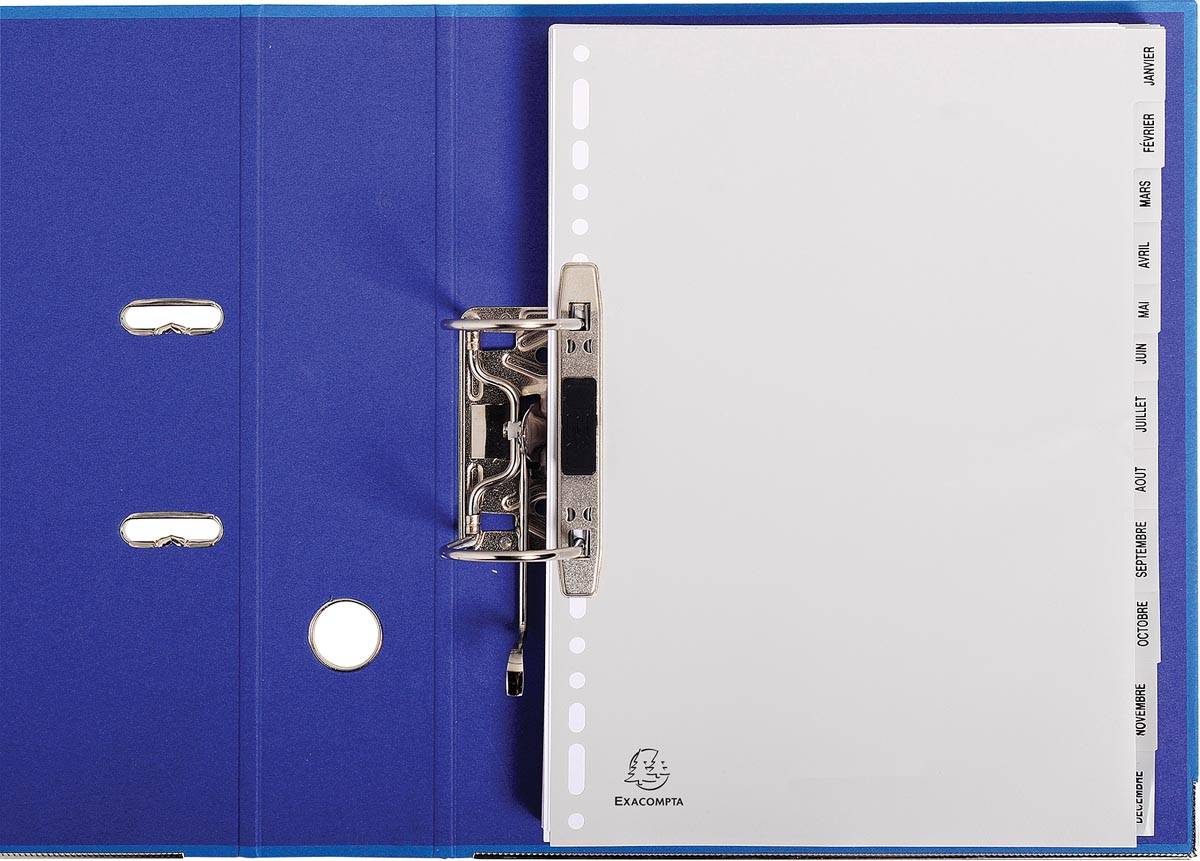 Exacompta tabbladen maandelijks A4, uit PP, 12 tabs, jan-dec, grijs, Frans
