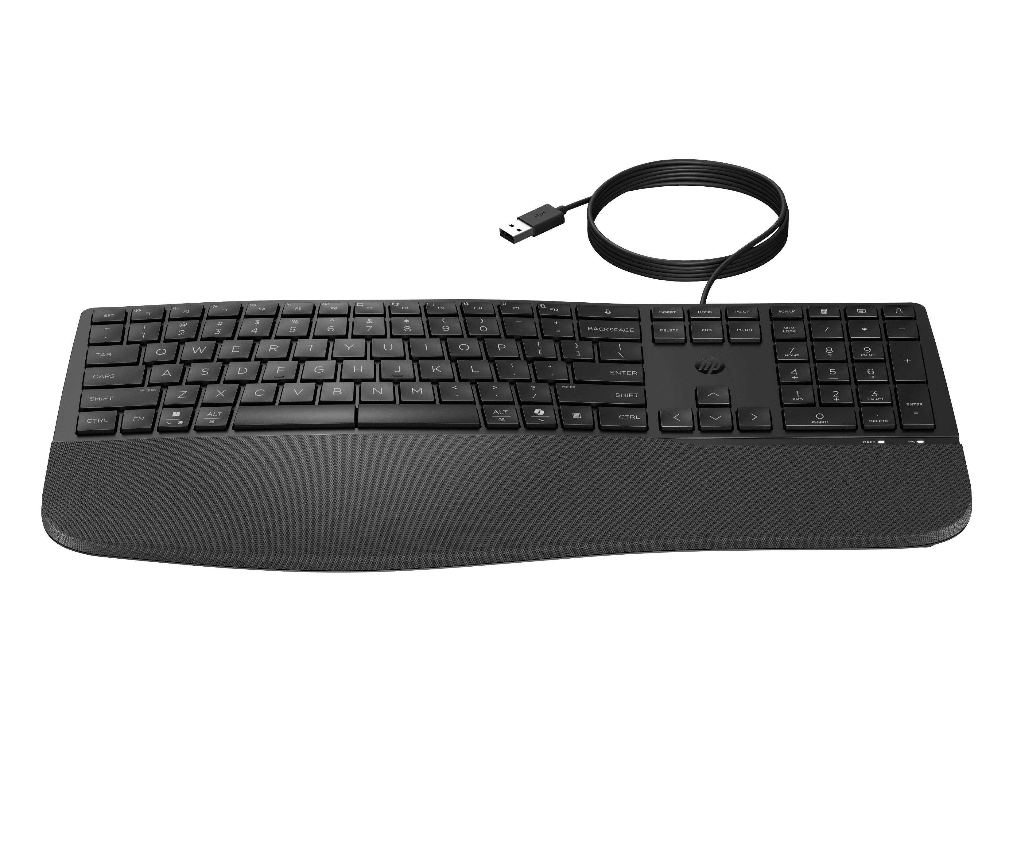HP 485 CFT WD KBD toetsenbord Kantoor USB Zwart