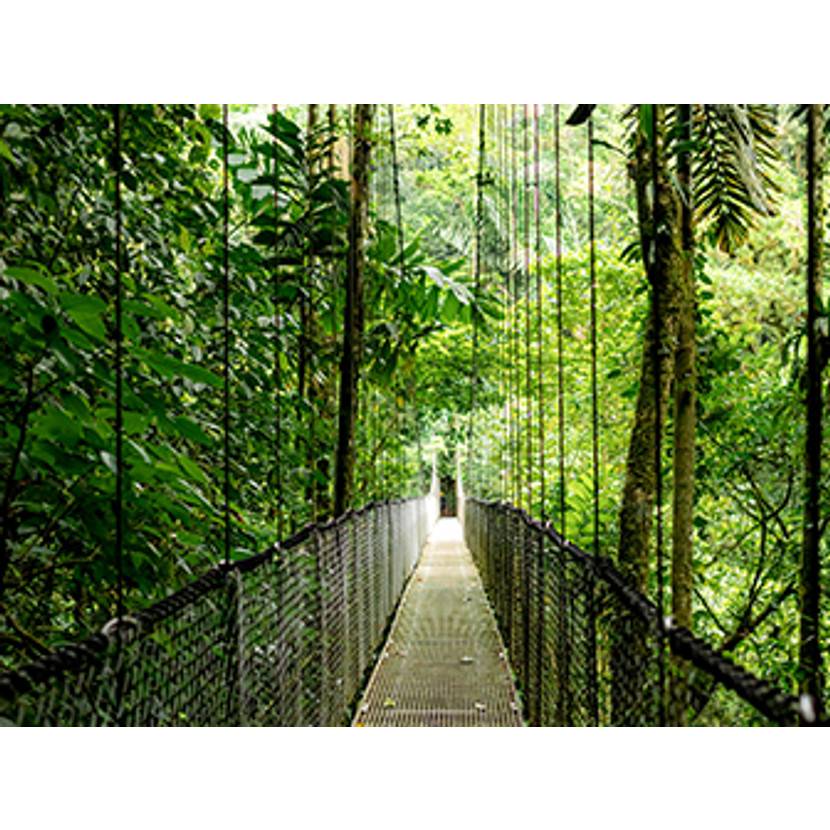 HP E EB6G1i16 U5 225U 16 24GB/512 PC Intel Core Ultra 5 Laptop 40,6 cm (16") WUXGA DDR5-SDRAM 512 GB SSD Wi-Fi 6E (802.11ax) Windows 11 Pro AI PC Zilver