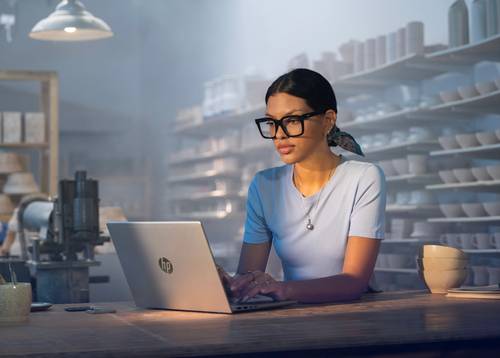 HP ProBook 4 G2a AI AMD Ryzen™ 7 250 Laptop 35,6 cm (14") WUXGA 16 GB DDR5-SDRAM 512 GB SSD Wi-Fi 7 (802.11be) Windows 11 Pro Zilver