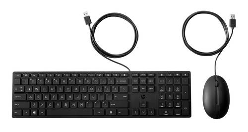 HP 320MK muis en toetsenbord met kabel voor desktop Qwerty Engels