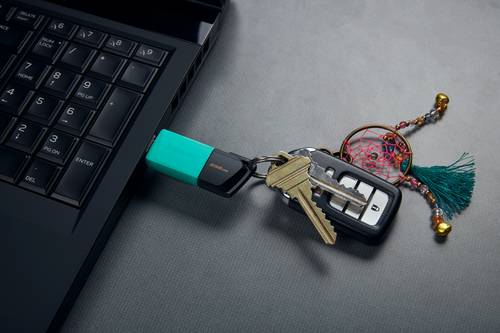 Kingston Technology DataTraveler Exodia M 256 GB, USB 3.2 Gen 1 (zwart + blauwgroen)