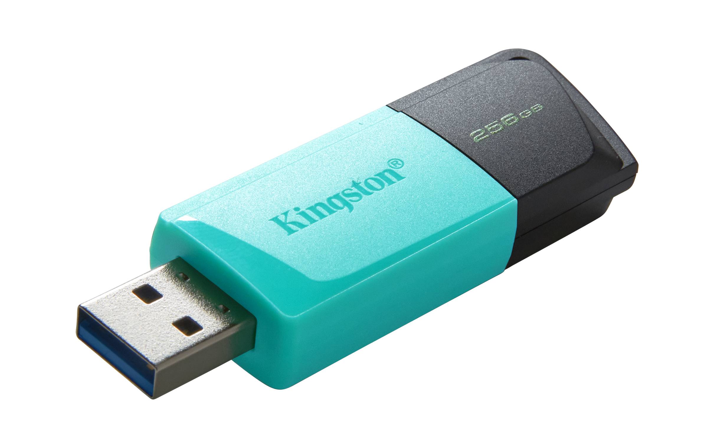 Kingston Technology DataTraveler Exodia M 256 GB, USB 3.2 Gen 1 (zwart + blauwgroen)
