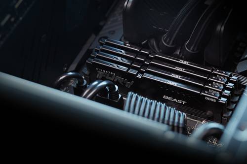 Kingston Technology FURY Beast 32GB 6000MT/s DDR5 CL36 DIMM (set van 2) Black EXPO