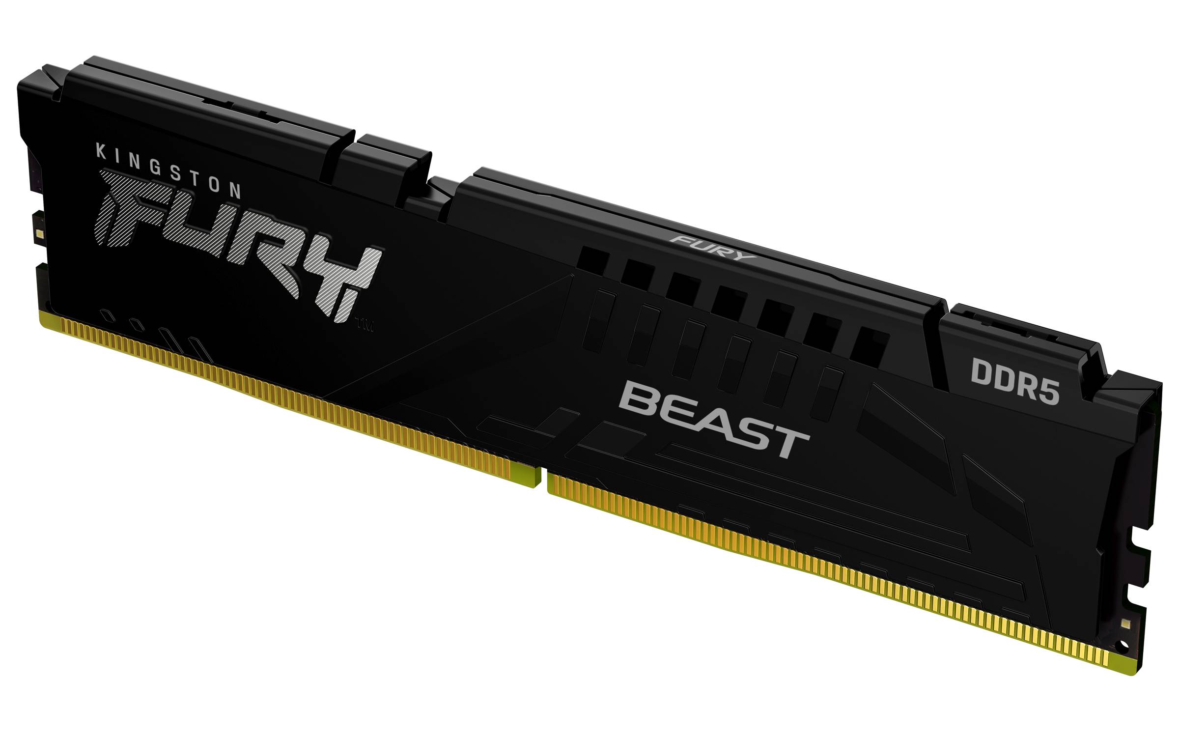 Kingston Technology FURY Beast 32GB 6400MT/s DDR5 CL32 DIMM (Kit of 2) Black EXPO