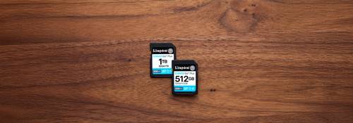 Kingston Technology Canvas Go! Plus 512GB SDXC Canvas Go Plus Gen4 200MB/s C10 UHS-I U3 V30