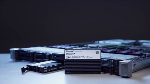 Kingston Technology 7,68TB DC3000ME U.2 PCIe 5.0 NVMe TCG Opal Enterprise SSD