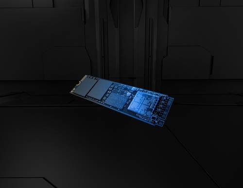 Kingston Technology 4T FURY RENEGADE G5 M.2 2280 NVMe SSD