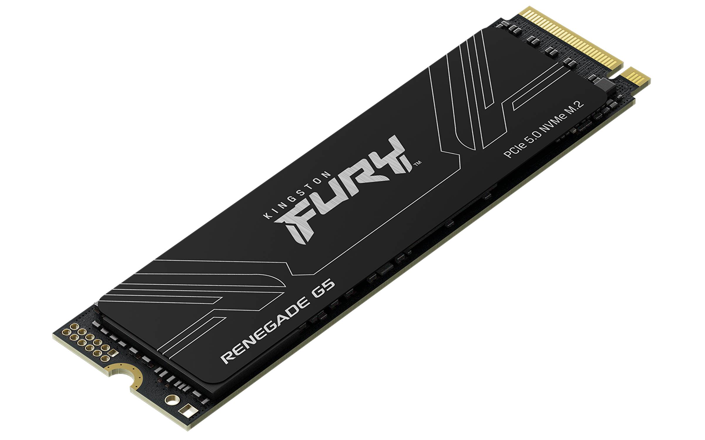 Kingston Technology 4T FURY RENEGADE G5 M.2 2280 NVMe SSD
