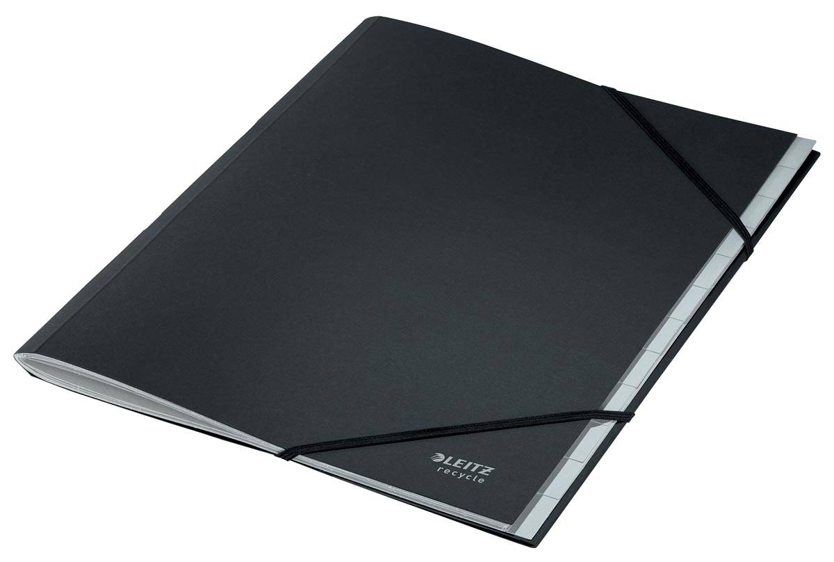 Leitz Recycle sorteermap, karton, ft A4, 12 tabs, zwart