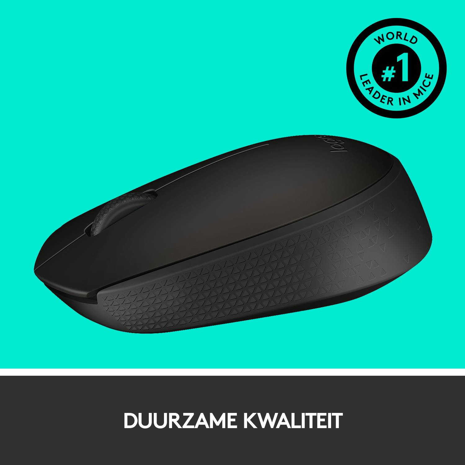 Logitech M171