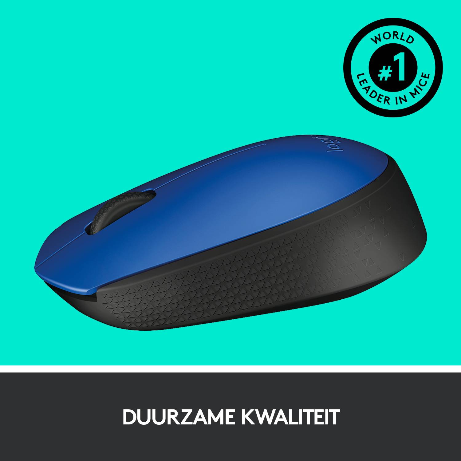 Logitech M171