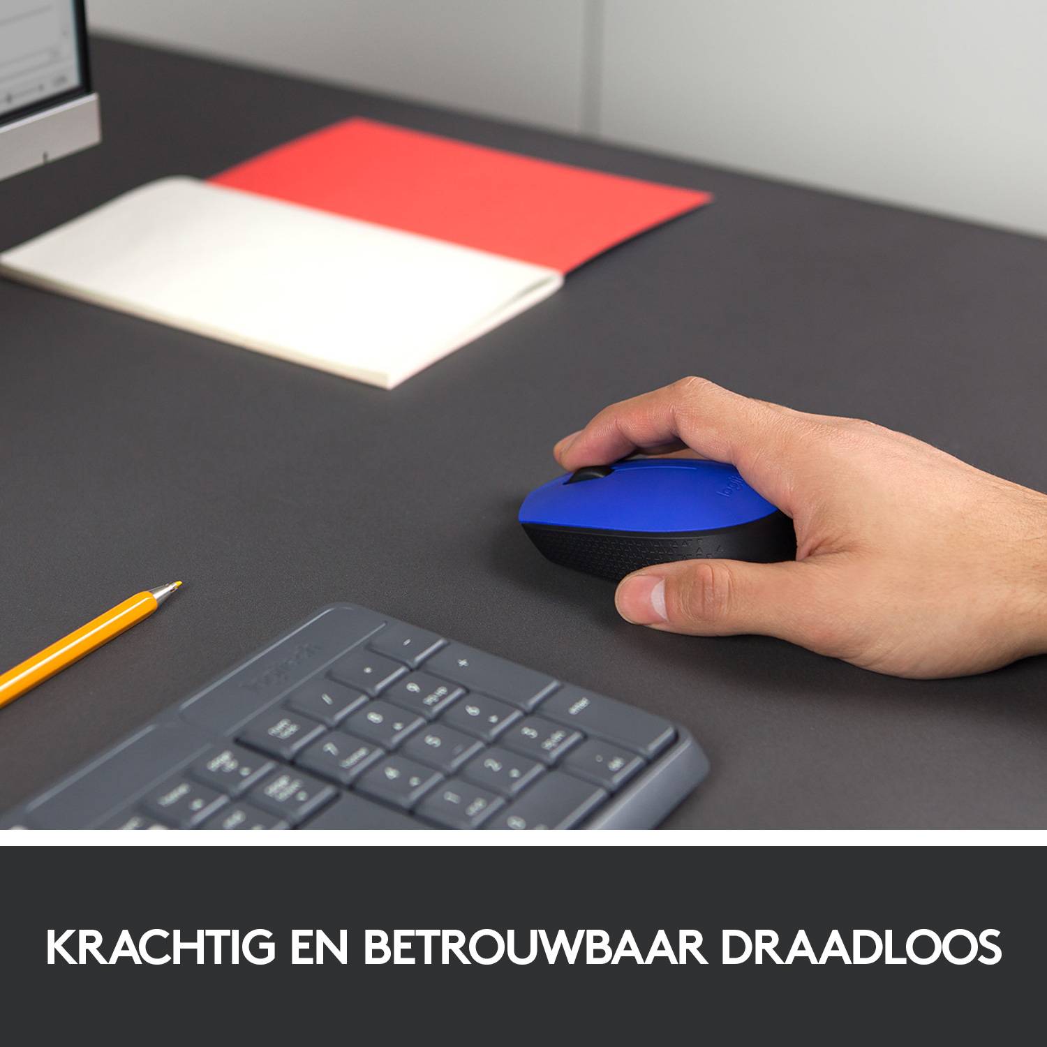 Logitech M171
