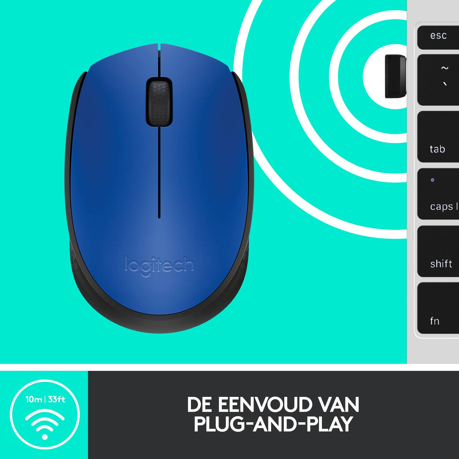 Logitech M171