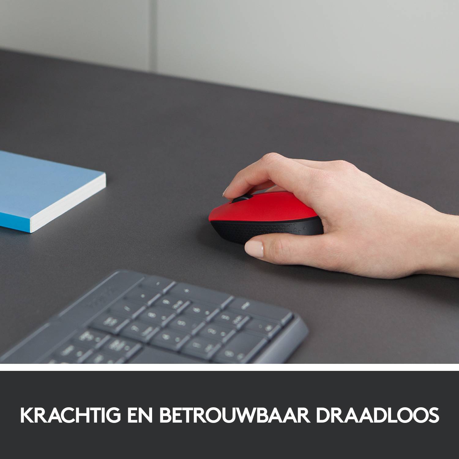 Logitech M171