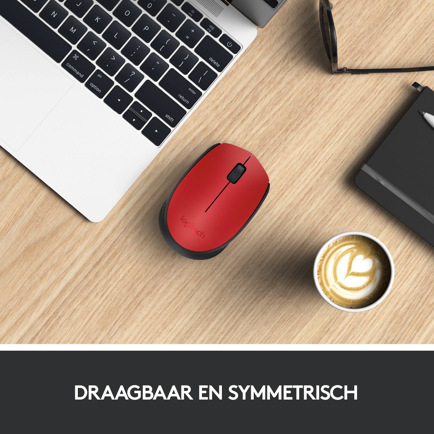 Logitech M171
