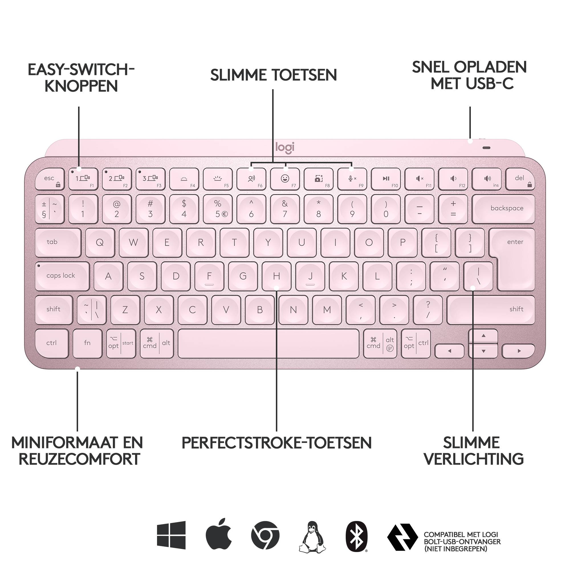 Logitech Master MX Keys Mini Qwerty US, Roze
