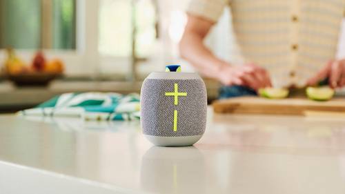 Ultimate Ears Wonderboom 4 Grijs