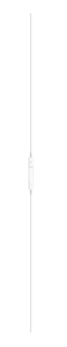 Apple Earpods met usb C