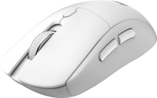 MSI FORGE K210 W COMBO WHITE US toetsenbord Inclusief muis Thuis/Werk USB QWERTY Amerikaans Engels Wit