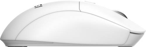 MSI FORGE K210 W COMBO WHITE US toetsenbord Inclusief muis Thuis/Werk USB QWERTY Amerikaans Engels Wit