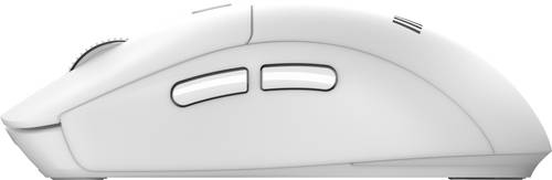 MSI FORGE K210 W COMBO WHITE US toetsenbord Inclusief muis Thuis/Werk USB QWERTY Amerikaans Engels Wit