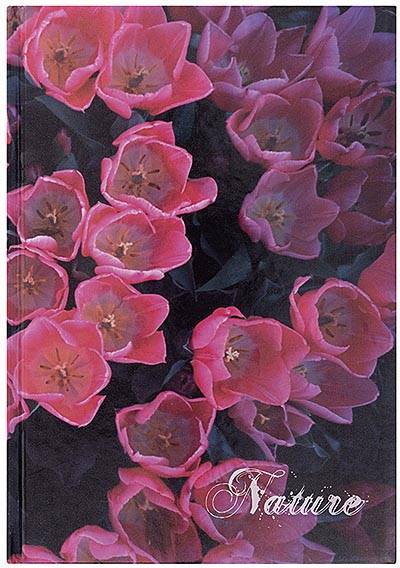 OFFICE products schrift, Nature, met harde kaft, A4, 96 blad, met kantlijn, geruit 5mm