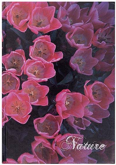 OFFICE products schrift, Nature, met harde kaft, A5, 96 blad, met kantlijn, gelijnd