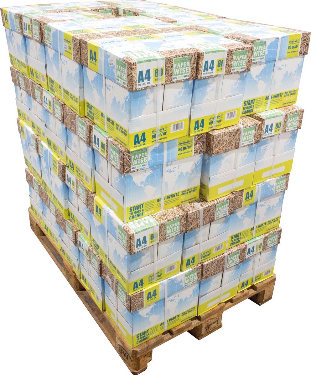 PaperWise papier ft A4, 80 g, pak van 500 vel